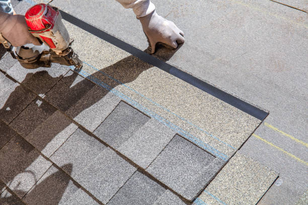 Best Storm Damage Roof Repair  in Oak Grove, TN