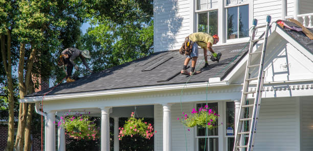 Best Roof Gutter Cleaning  in Oak Grove, TN